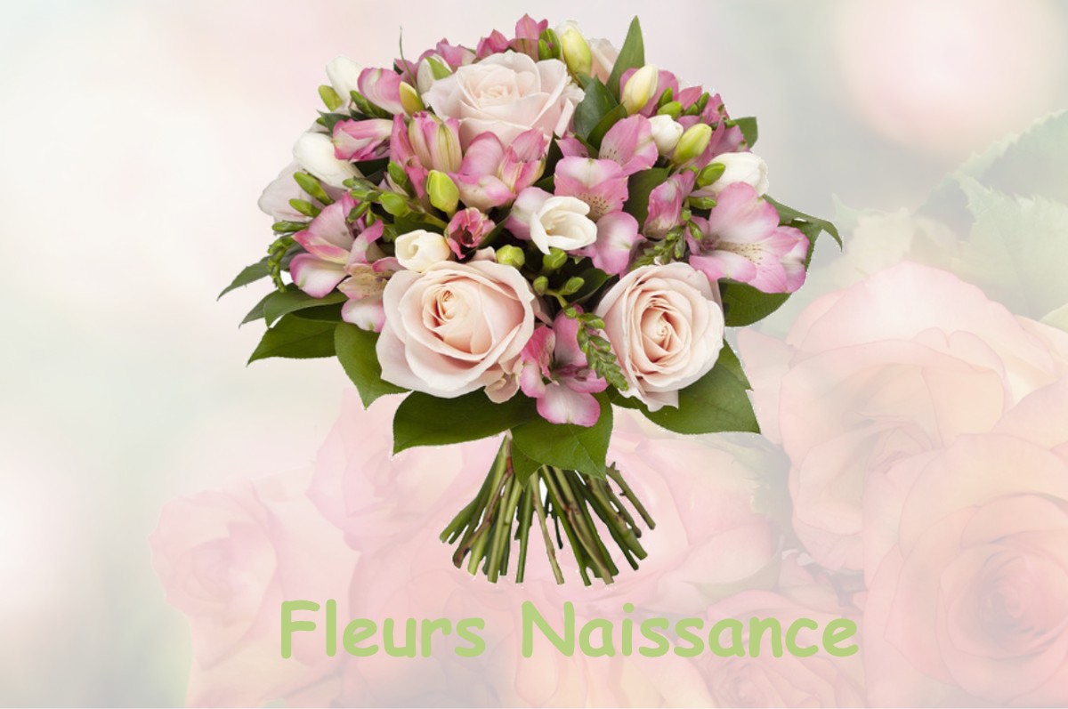 fleurs naissance LARRA